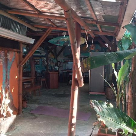 Hotel Osa Surf House Puerto Jiménez Zewnętrze zdjęcie