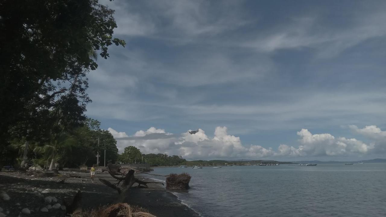 Hotel Osa Surf House Puerto Jiménez Zewnętrze zdjęcie