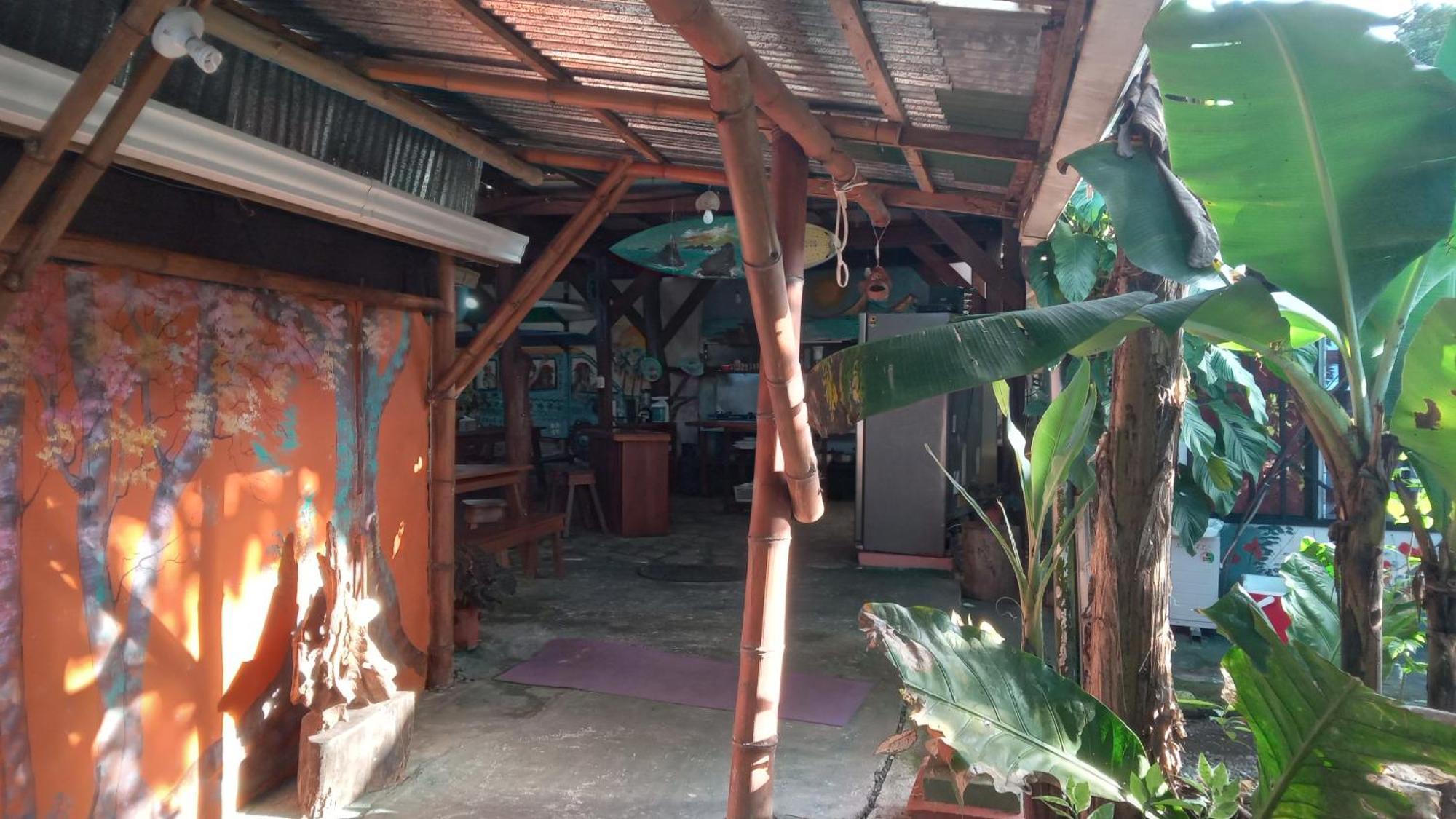Hotel Osa Surf House Puerto Jiménez Zewnętrze zdjęcie