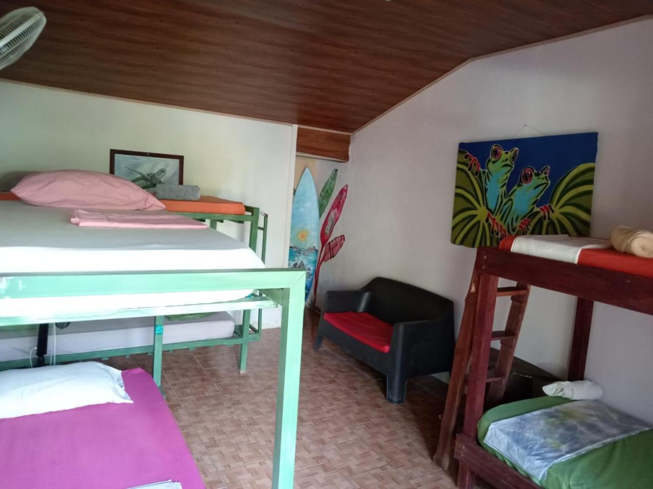 Hotel Osa Surf House Puerto Jiménez Zewnętrze zdjęcie